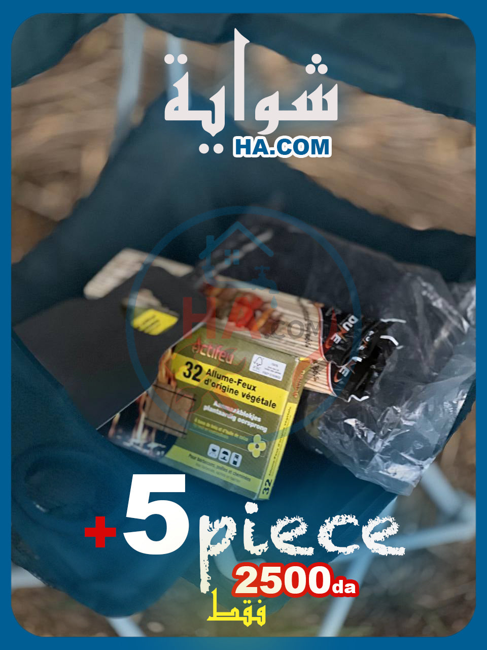 "barbecue"شواية