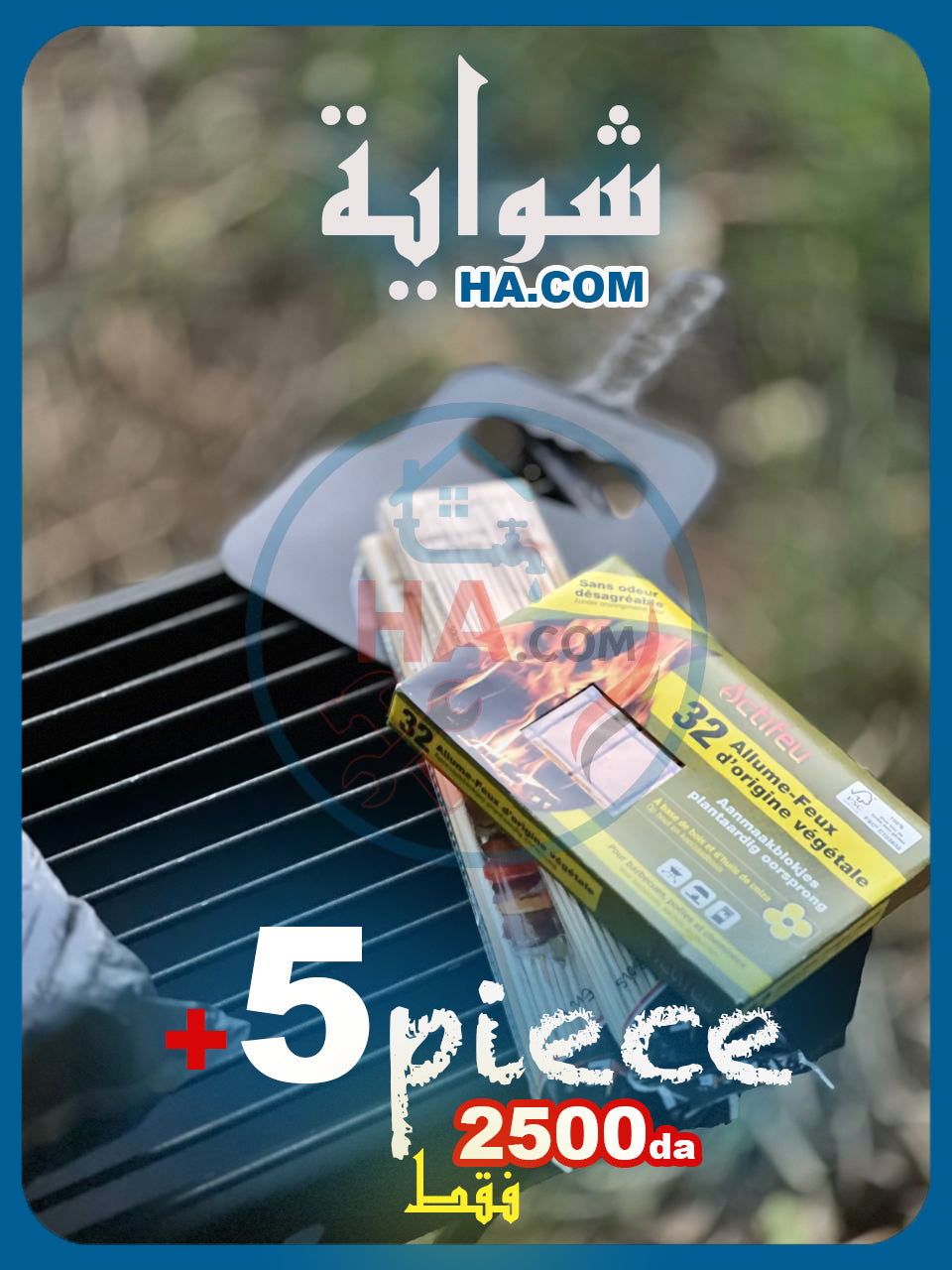 "barbecue"شواية